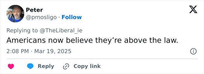 Tweet by user expressing views about American tourists, related to Irish horse carriage driver incident.