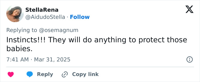 Tweet praising nurses as "angels" for protecting newborns during Myanmar earthquake.