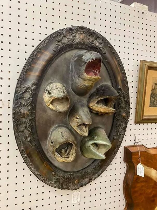Wall decor featuring strange fish heads, found while thrifting.