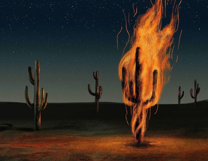Mysterious illustration of a burning cactus under a starlit sky by Myriam Wares.