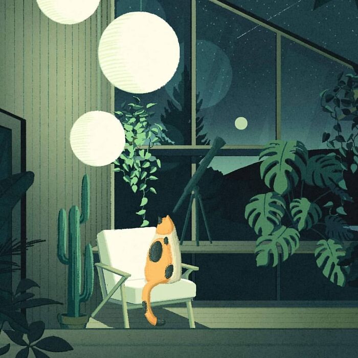Mysterious illustration by Myriam Wares features a cat on a chair, with lush plants and a telescope under moonlight.