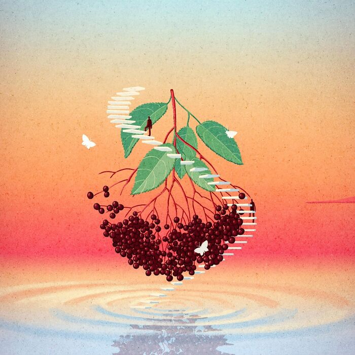 Mysterious illustration by Myriam Wares featuring floating berries and leaves against a sunset sky with a staircase.