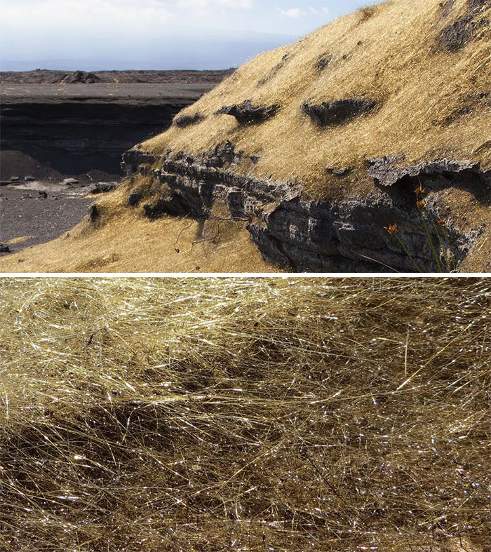 Golden grass on a rocky ledge, close-up showing texture, illustrating the beauty of nature.