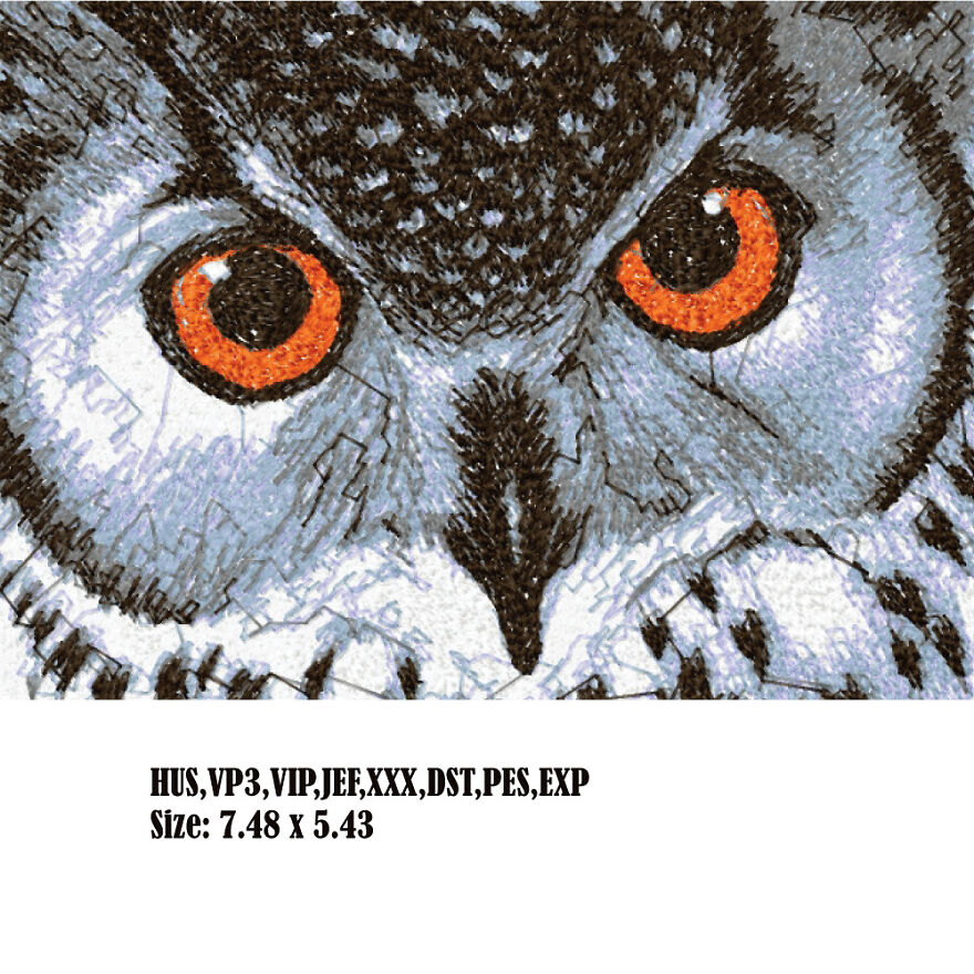 Owl Photo Stitch Embroidery Design - Multiple Formats Available