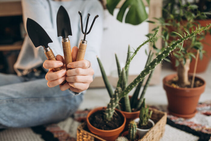 Person holding gardening tools, surrounded by potted plants, embracing "old people" habits.