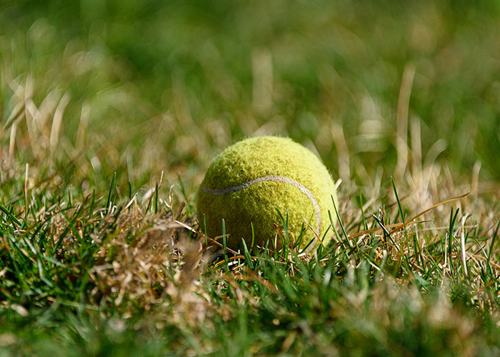 Tennis ball on grass, symbolizing Gen X nostalgia for life without social media.