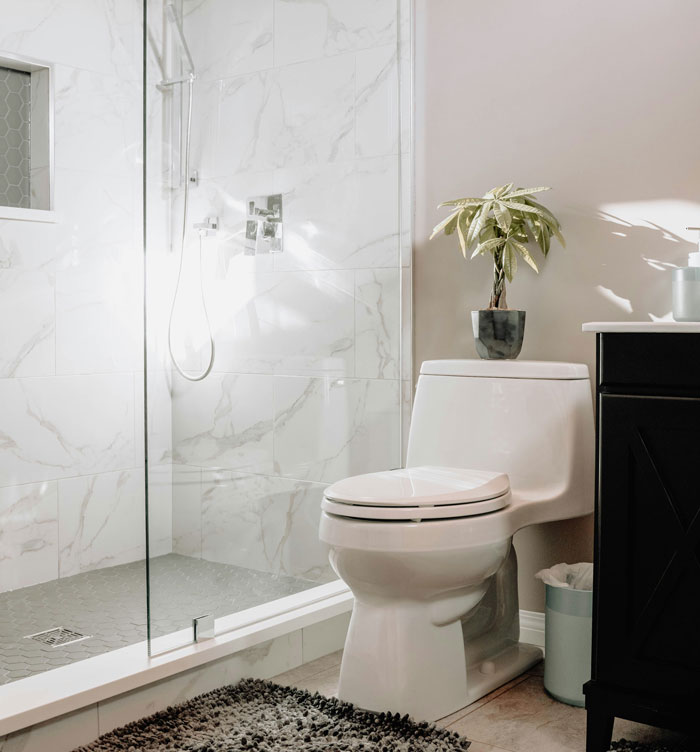 Modern bathroom interior with shower and toilet, featuring a potted plant for decoration.
