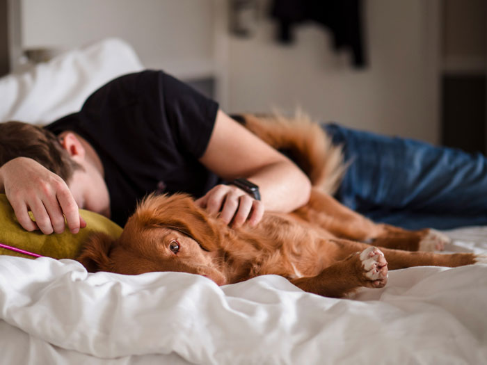 Person relaxing on a bed with a dog, embodying a lazy day atmosphere.