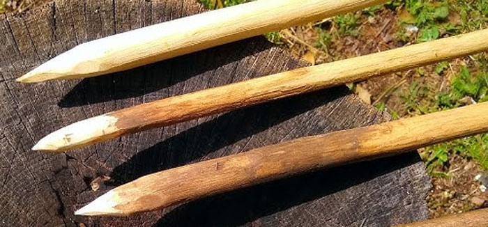 Sharpened wooden sticks lying on a tree stump, possibly useful in life-saving survival situations.