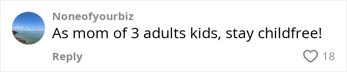 Comment about staying childfree, endorsing a child-free lifestyle choice, with heart icon indicating 18 likes.