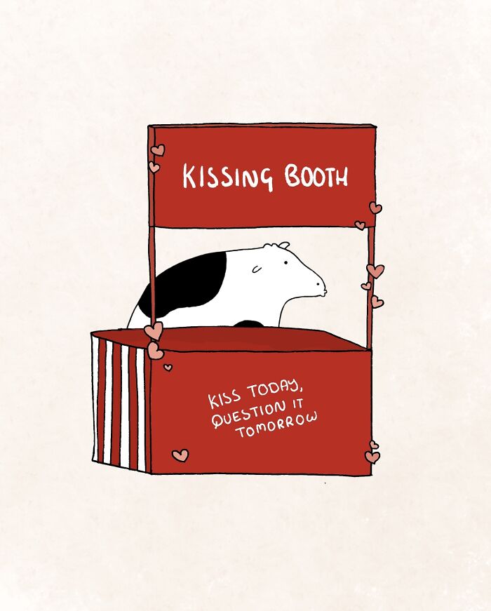 Cow in a humorous kissing booth illustration, offering playful cow content.