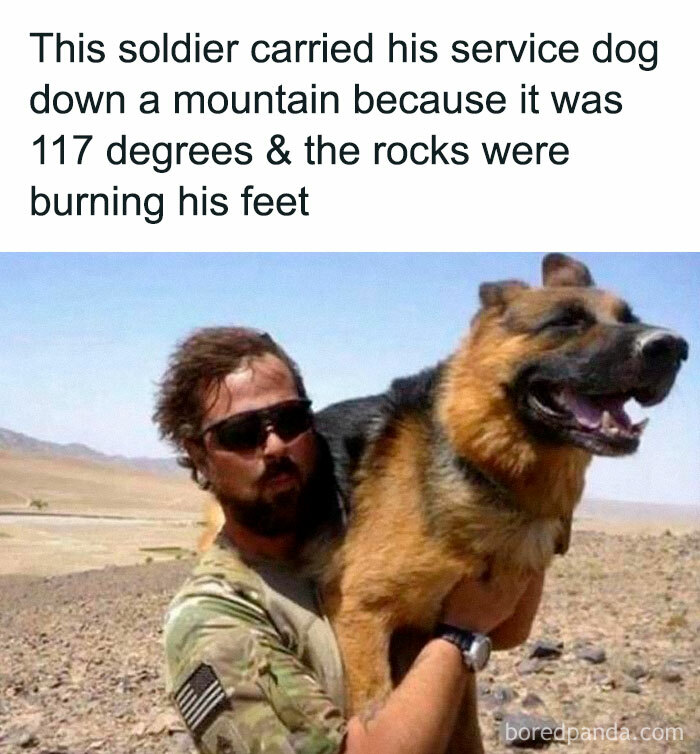 Soldier carrying his service dog down a mountain in extreme heat, showcasing funny and awkward animal moments.
