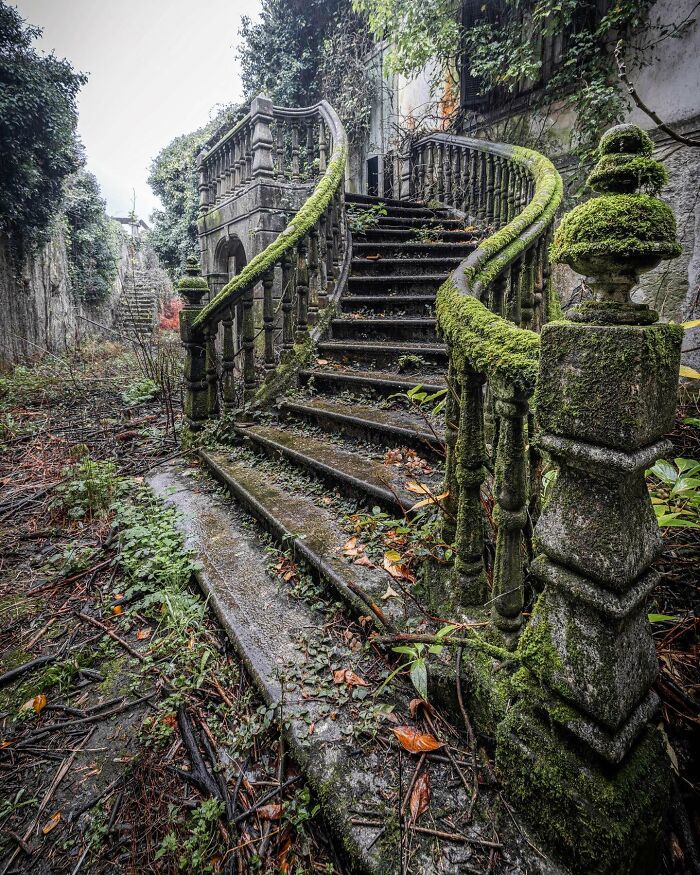 Ancient moss-covered stone staircase in an abandoned place overgrown with greenery.
