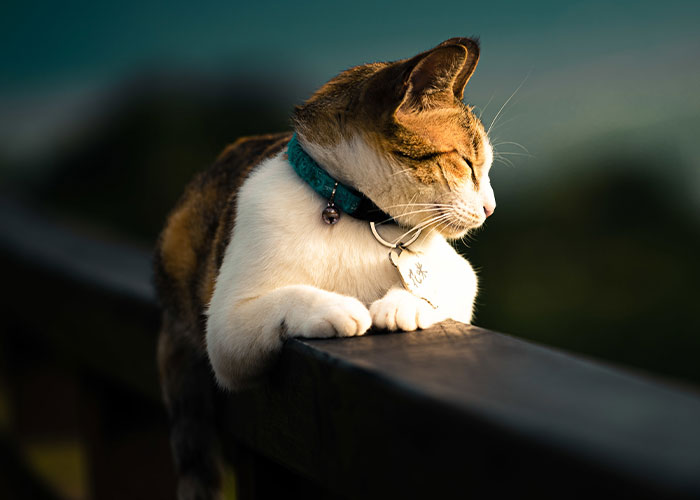 “I Started To Like Pink Again”: 50 Women Recall The Instant They Just Knew He Was ‘The One’