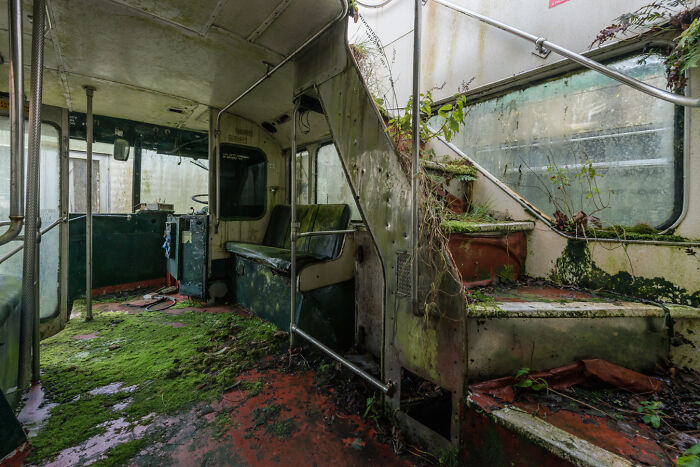 Abandoned bus interior, overgrown with moss and plants, showcasing eerie decay and stunning natural reclamation.