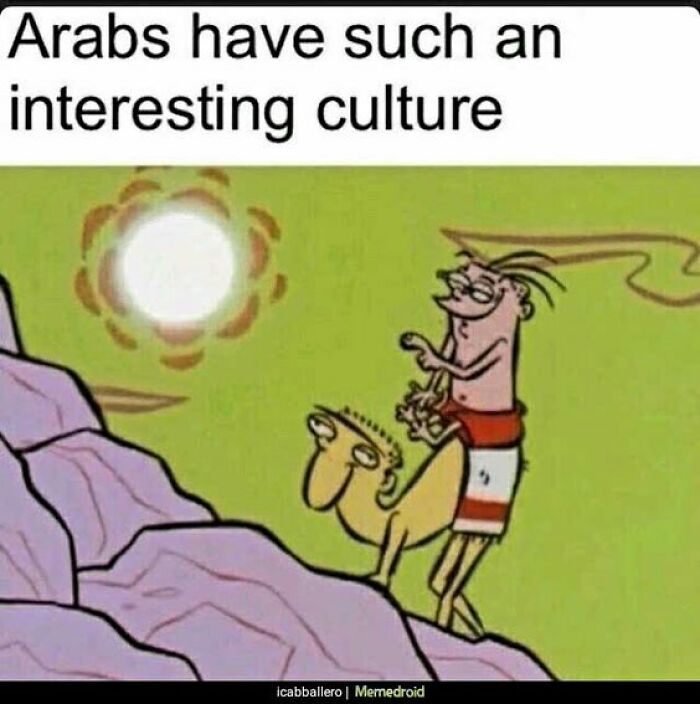 Cartoon meme showing a character riding a camel under the sun, with humorous text about culture.