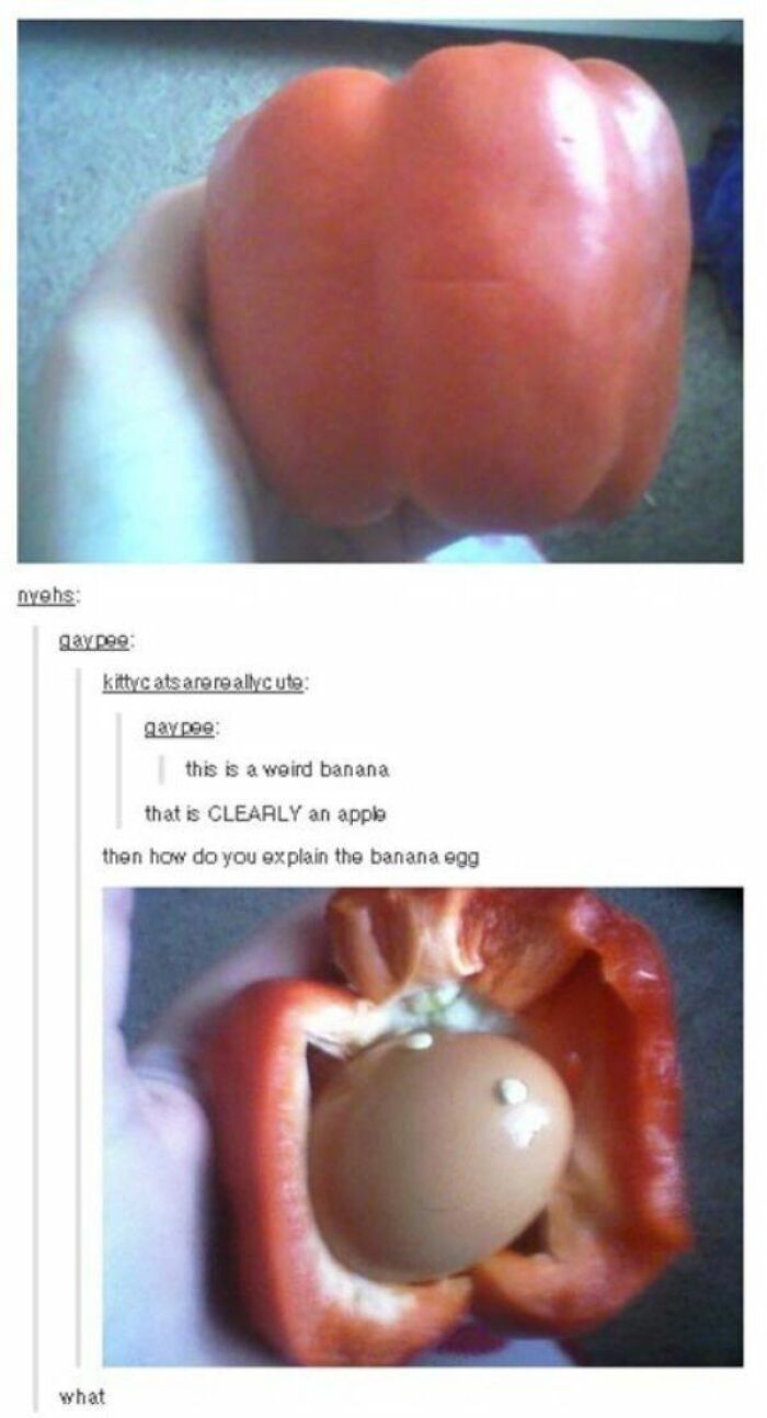 A red bell pepper cut open to reveal a brown egg inside, creating a random and hilarious meme moment.