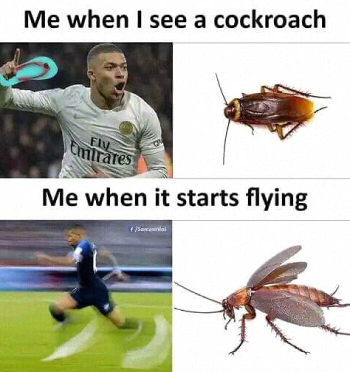 Soccer player running from a cockroach, meme humorously depicting reaction to flying cockroach.