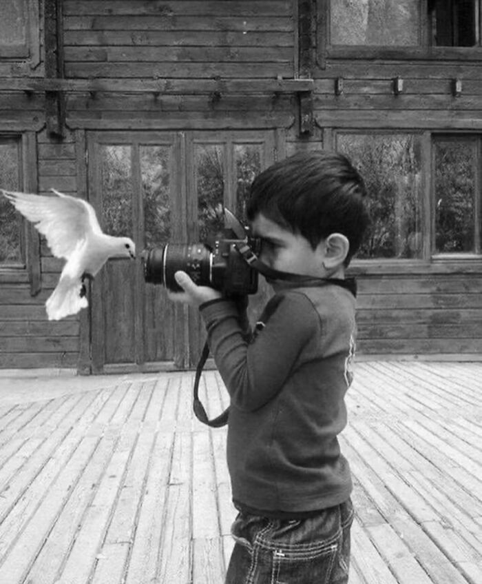 Child with a camera captures a bird's flight in a perfectly timed street photo, creating an unexpected moment.