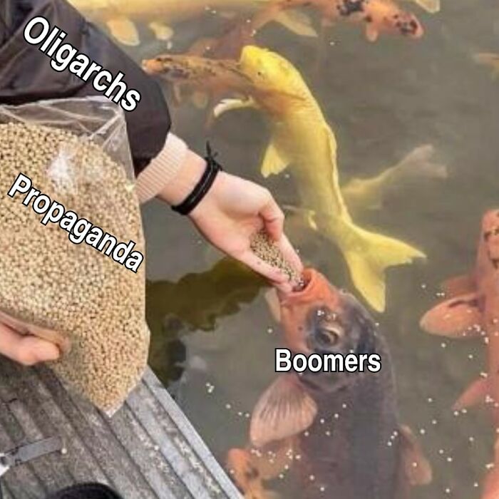 Hand feeding fish labeled "Boomers" with seeds labeled "Propaganda" and "Oligarchs" in a funny meme.
