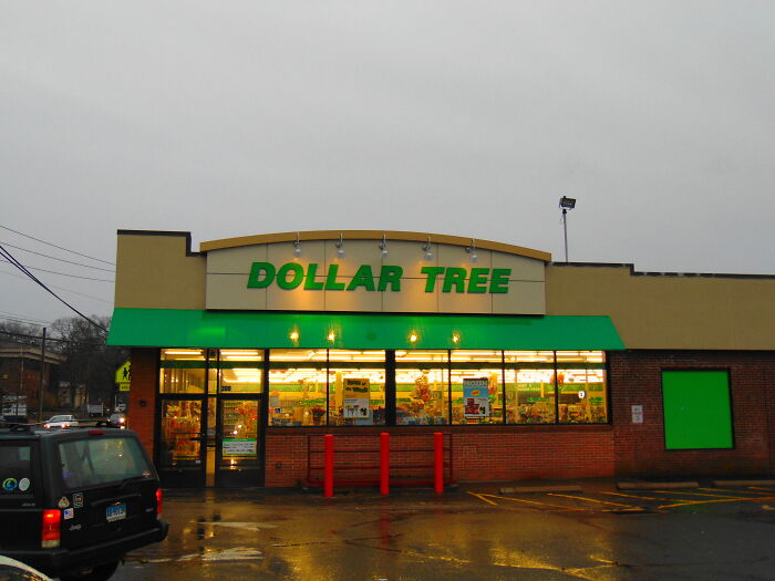 Dollar Tree storefront on a cloudy day, illustrating career paths of graduates with "useless" degrees.