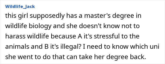 Text comment criticizing an American tourist for unlawfully handling wildlife in Australia. Text comment criticizing an American tourist for unlawfully handling wildlife in Australia.