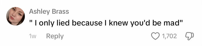A comment on ways men apologize, saying, "I only lied because I knew you'd be mad," with likes and reply icons.