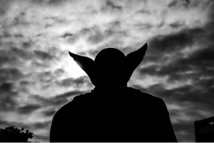 Silhouette of a person with ears against a cloudy sky, capturing street life's raw beauty.