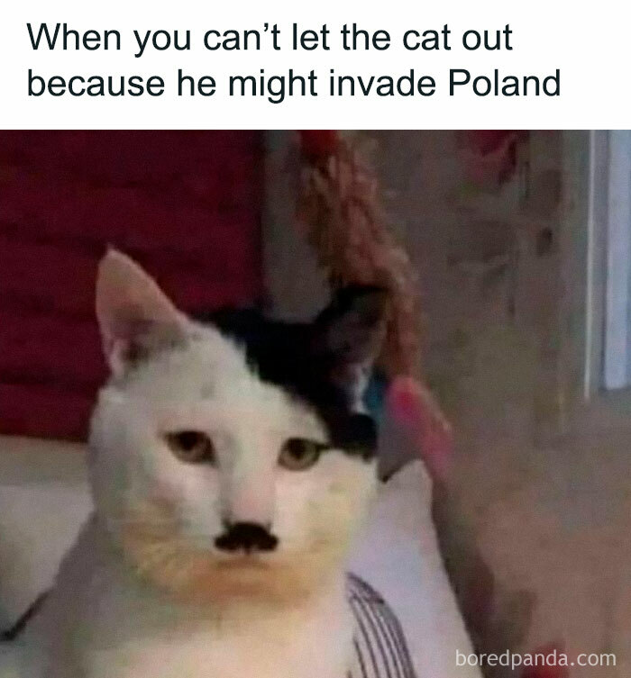 Funny cat with a black spot resembling a mustache, captioned humorously about not letting him outside.