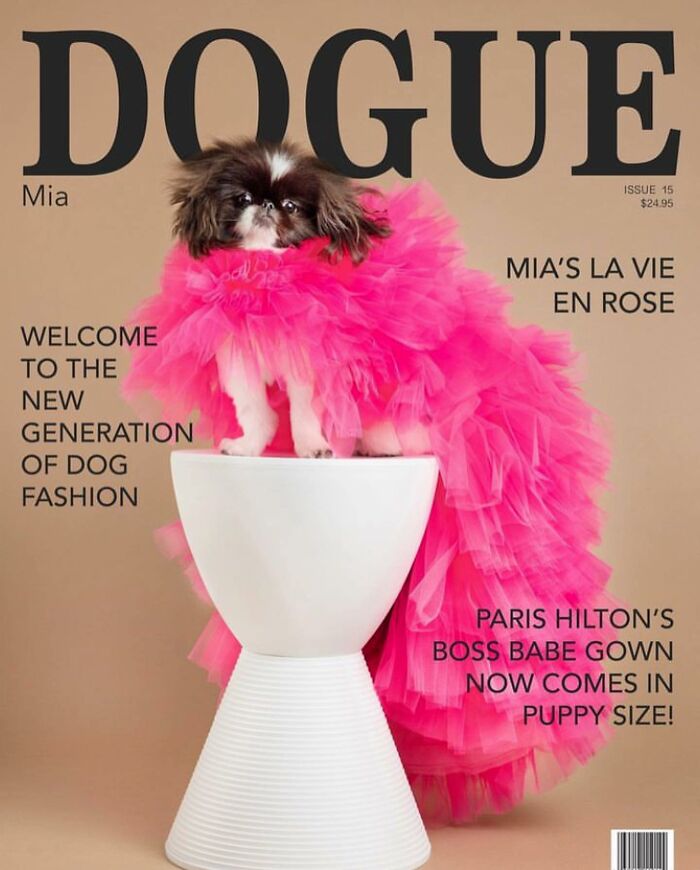 Dog in pink gown on cover of Dogue, highlighting dog fashion trends.