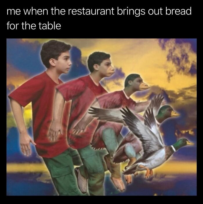 Boy morphing into ducks, running humorously towards bread, representing funny memes for a chuckle.
