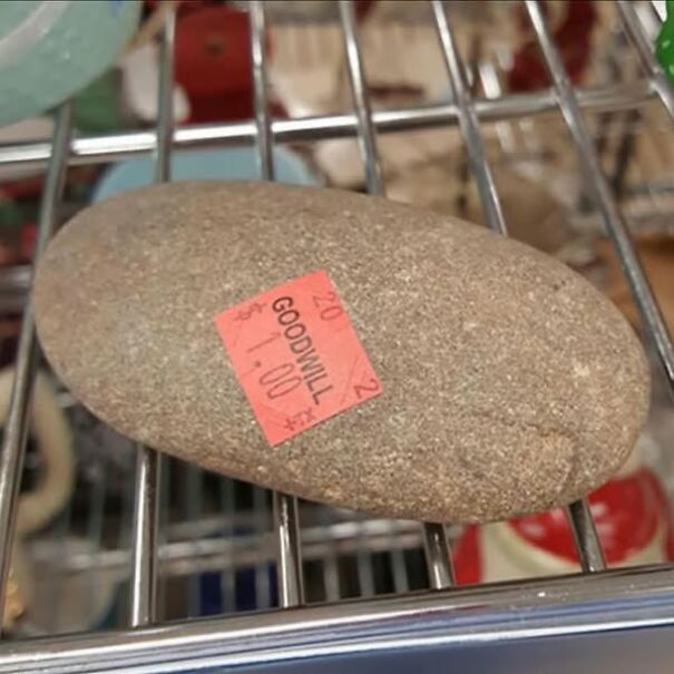 Stone with Goodwill $1 tag on thrift store shelf, showcasing a strange thrift find.