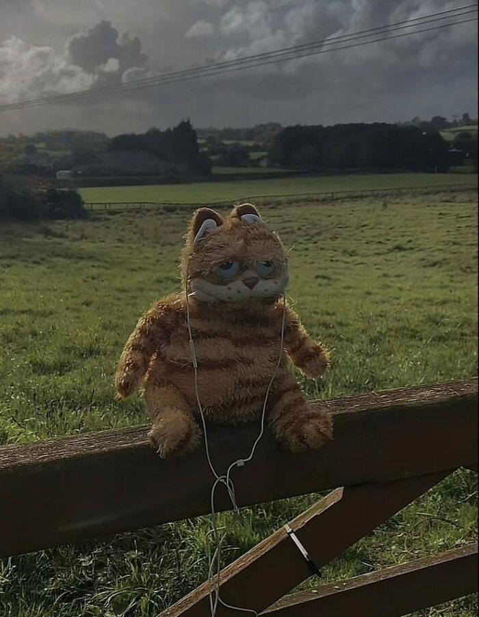 Stuffed cat toy with earphones on a fence, against a cloudy countryside backdrop, creating a random funny scene.