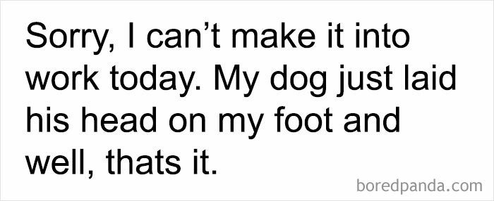 Text meme about skipping work due to a dog's affection; relatable job humor.
