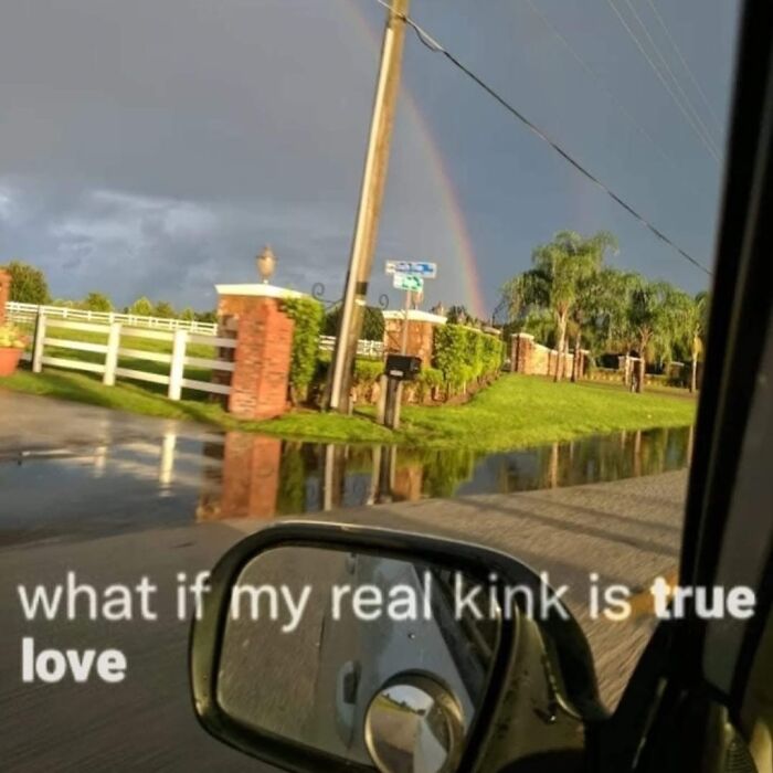 Car driving by a rainbow with funny meme text pondering true love.