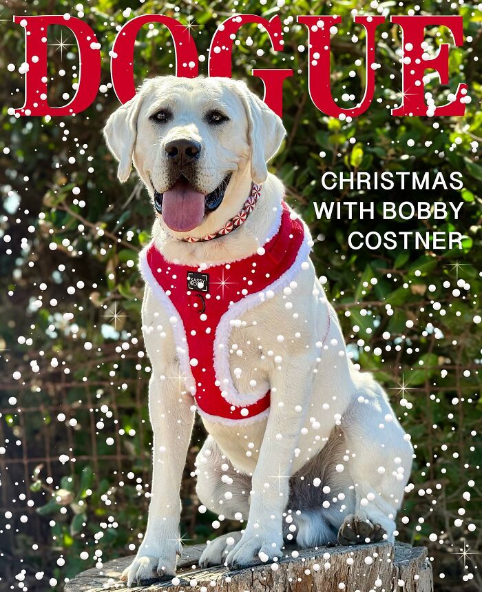 Dog on Dogue cover in festive red attire, surrounded by snowflakes, capturing holiday spirit.