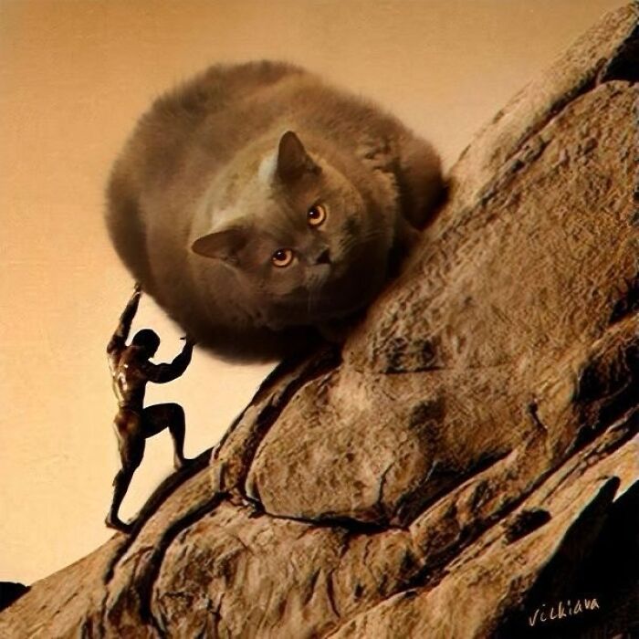 Sisyphus pushing a giant cat up a hill, a humorous cat meme from Catlandscentral.
