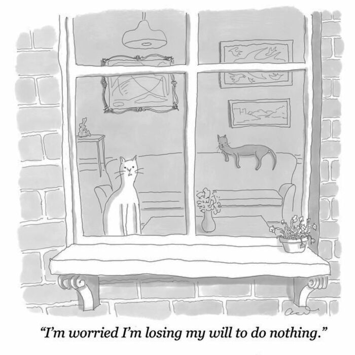 Cats in a comic by artist; one cat sits indoors, another lounges on a couch.