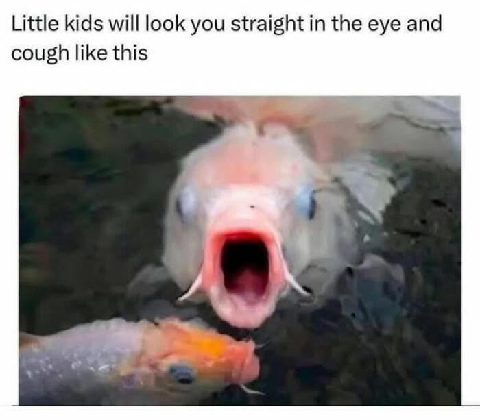 Fish with open mouth, humorous parenting meme likening it to a child coughing directly at you.