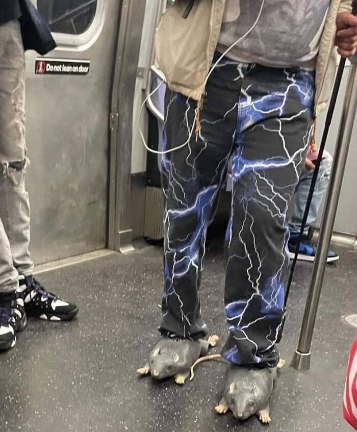 Man wearing lightning pants and rat slippers on subway adds humorous touch without context.