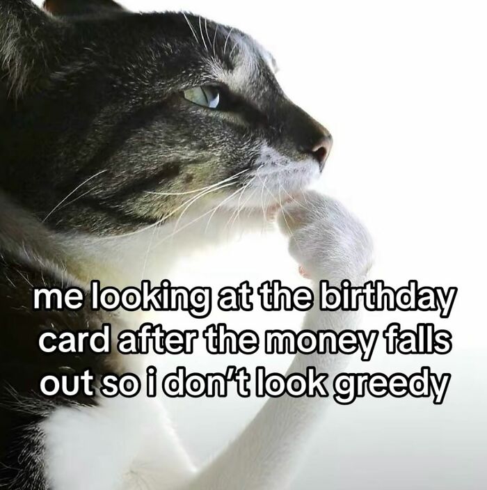 Reflective cat meme humor on birthday cards with money.