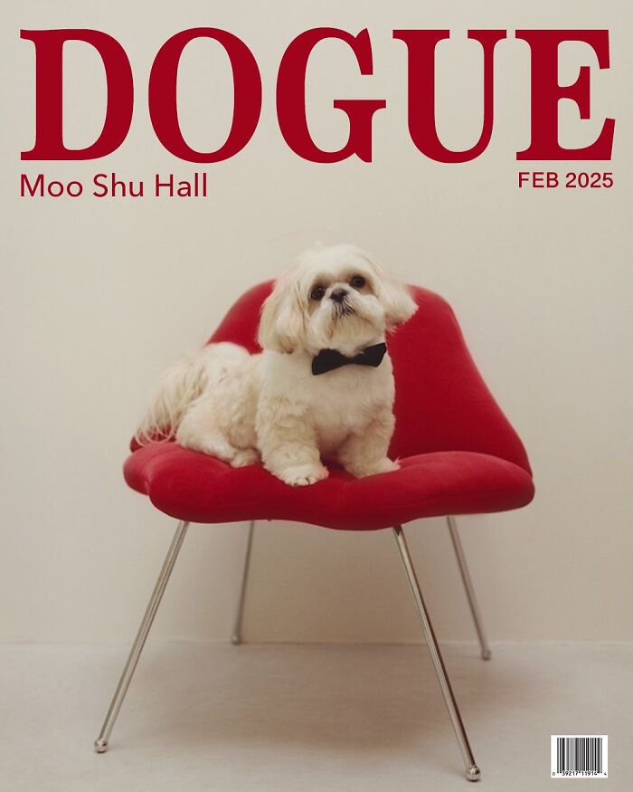 Dog on red chair wearing a bow tie for Dogue magazine cover.