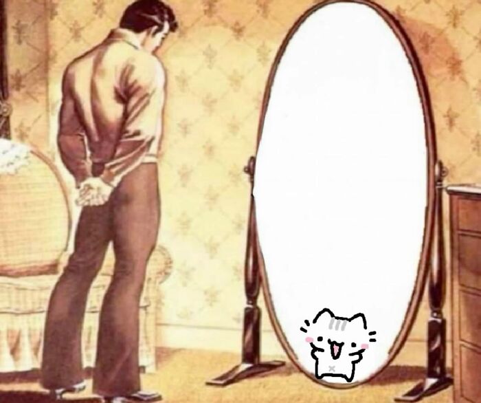 A man stands in front of a mirror that shows a cat's face; funny cat meme from Catlandscentral.