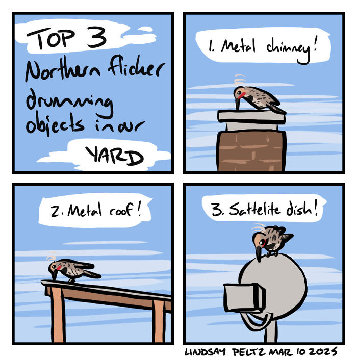 Comic of a bird drumming on a chimney, roof, and satellite dish, highlighting life's relatable struggles with noise.