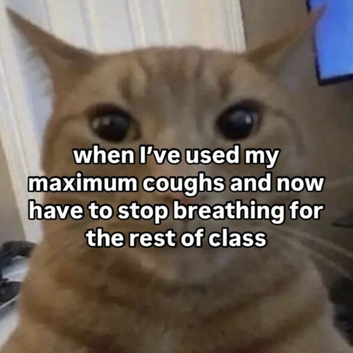 Cat meme with a wide-eyed cat, captioned about using maximum coughs in class.