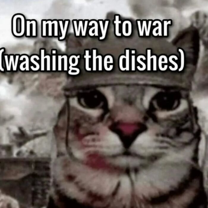 Cat in a helmet with text joke comparing washing dishes to going to war, showcasing a humorous cat meme.
