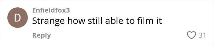 Comment by Enfieldfox3 reacting to viral 'Mom On The Run,' questioning filming ability.