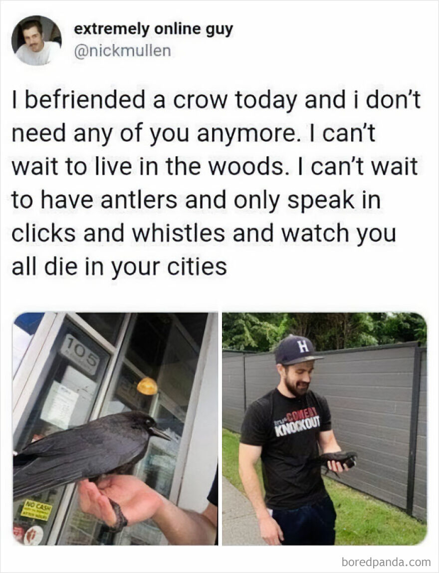 A funny meme with a tweet about befriending a crow and living in the woods.