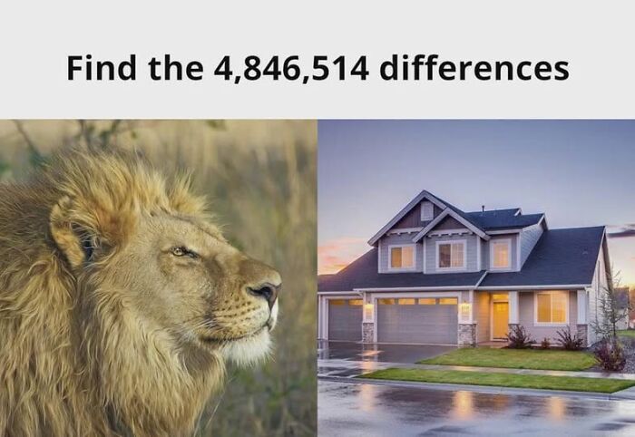 Lion and house in a literal meme, humorously labeled "Find the 4,846,514 differences."