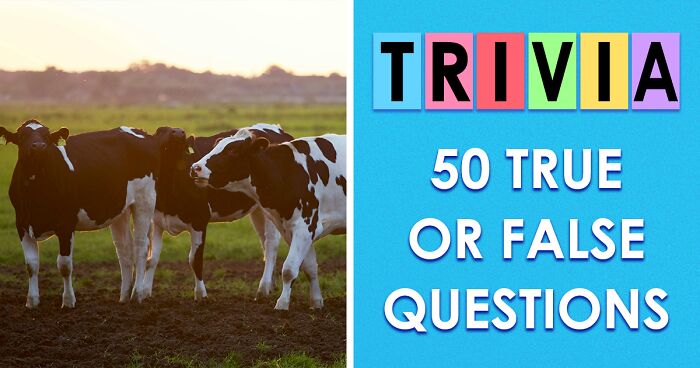 We’re Not Saying You’re A Genius, But Acing This 50-Question True Or False Quiz Might Prove It